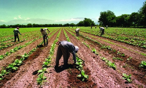 Trabajadores rurales: prorrogan el decreto que permite cobrar programas sociales a pesar de estar registrados