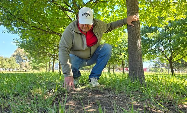 ¿Se pueden ganar más de US$ 50.000 por hectárea en el campo?