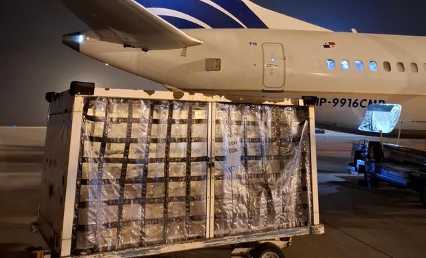 El Gobierno anunció menos burocracia para exportar: qué cambió