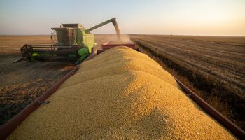 Desafio Nacional de Máxima Produtividade de Soja comprova Boas Práticas Agrícolas