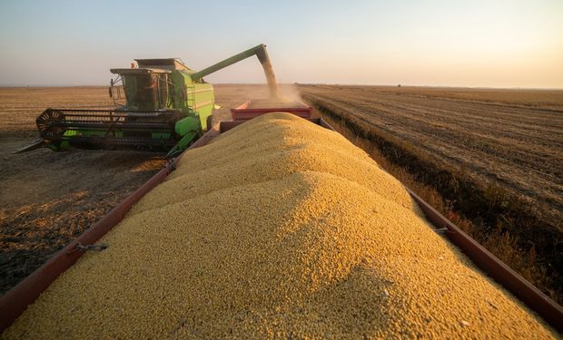 Desafio Nacional de Máxima Produtividade de Soja comprova Boas Práticas Agrícolas