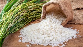 Arroz apresenta a menor rentabilidade em três anos