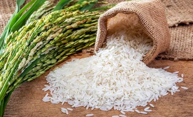 Arroz apresenta a menor rentabilidade em três anos