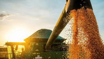 Agronegócio deve retomar crescimento em 2025 com apoio de safra recorde e crédito rural