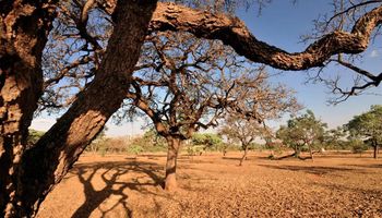 Alta pressão traz tempo seco e calor para o Centro-Sul do Brasil
