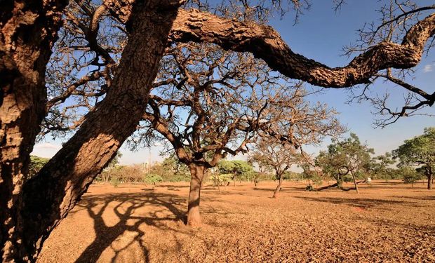 Alta pressão traz tempo seco e calor para o Centro-Sul do Brasil
