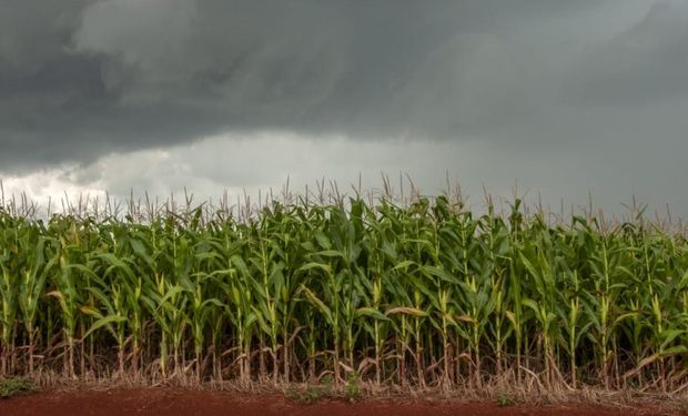 Maio: como será o clima no Brasil?