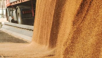 Com risco de "pesadelo logístico", China e Brasil aceleram diálogo sobre Rota Bioceânica