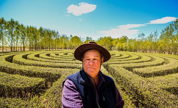 Construyó dos laberintos con más de 100 mil árboles en medio de un pantano: hoy lo visitan de todo el país