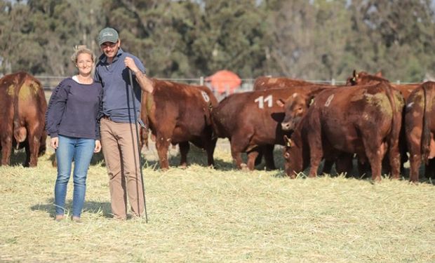 Su abuelo llegó de Italia y fue un pionero de Angus en la Patagonia: “Gracias por haberme metido en esta raza”, resalta ahora la tercera generación de productores