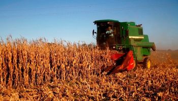 La exportación de cereales creció un 12% en la provincia de Buenos Aires