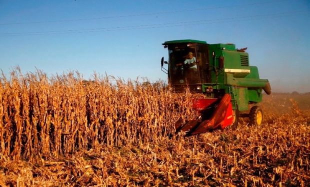 Continuaron creciendo las exportaciones agroindustriales de la Provincia de Buenos Aires en el primer trimestre del año.