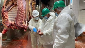 El Gobierno repartió el cupo de 20.000 toneladas para exportar carne a Estados Unidos: la lista de establecimientos y los que quedaron afuera