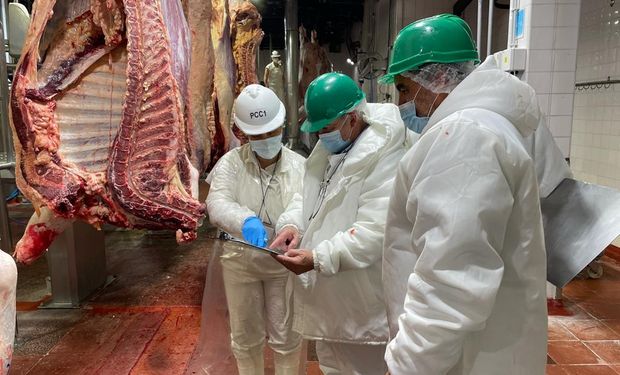 Las exportaciones de carne vacuna crecen en volumen, pero la facturación cada vez es menor