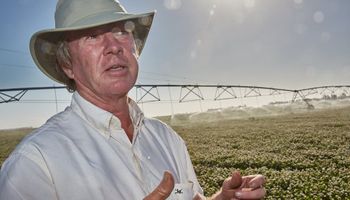 El productor que transformó su campo porque sintió que estaba haciendo todo mal: "Fue un shock, pero necesario”