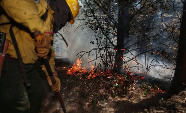 Incendios: declaran la emergencia ígnea en todo el país