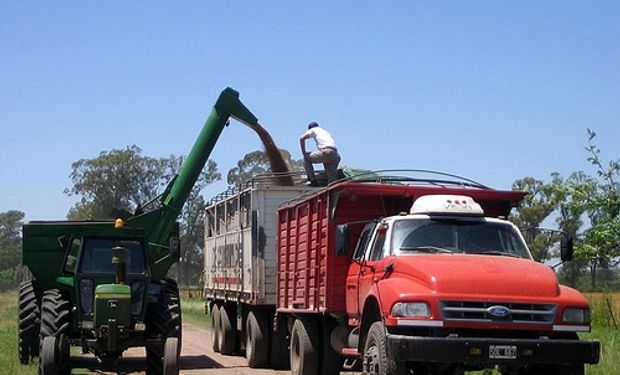 Garantizan transporte de granos