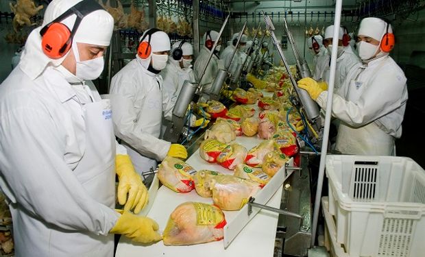 Lanzan financiamiento para aumentar la producción de carne de cerdo y pollo