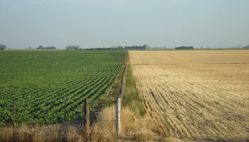 Aunque no lo inviten, el campo es una usina de ideas