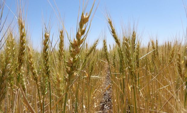 La “Carta de Buenos Aires” es una declaración conjunta de la división LIDE Agronegocios realizada al cierre del encuentro anual.