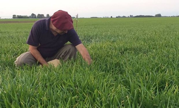 Se trata de un espacio destinado a productores y asesores de una amplia zona del país.