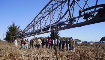 Un desafío de Buenas Prácticas Agrícolas se volvió viral: mirá los mejores tips agrícolas