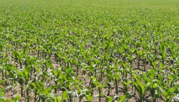La reforma impositiva de Buenos Aires encarecerá el costo de los fertilizantes