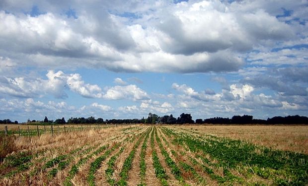 Clima seco favorece siembra de soja en Argentina