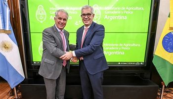 Suba de precios y seguridad alimentaria: los temas que preocupan a Argentina y Brasil en materia agropecuaria