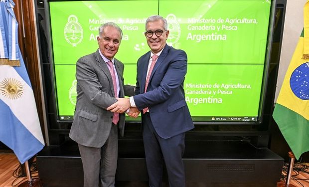 Suba de precios y seguridad alimentaria: los temas que preocupan a Argentina y Brasil en materia agropecuaria