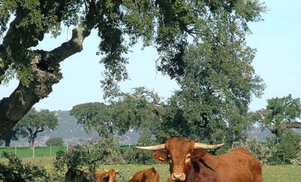 Firman convenio de educación agropecuaria