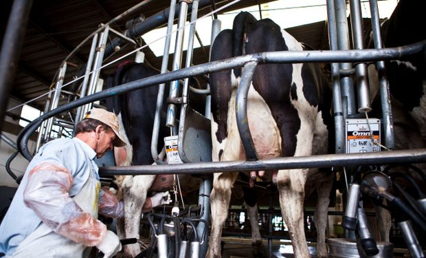 El sector lácteo tuvo exportaciones récords por US$ 1400 millones, pero reclama medidas para garantizar las ventas