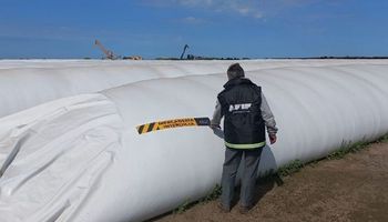 Soja y maíz: la AFIP incautó granos por $34 millones en Córdoba