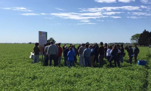 Seis estaciones y cerca de 10 especialistas abordarán las temáticas más relevantes para los productores de la zona.