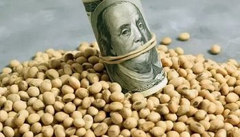 Duro golpe bajista para el precio de la soja: qué factores sigue el mercado