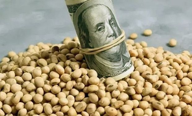 Duro golpe bajista para el precio de la soja: qué factores sigue el mercado