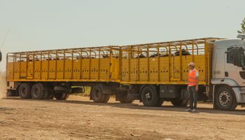 Productores van contra las tasas municipales de las guías de hacienda