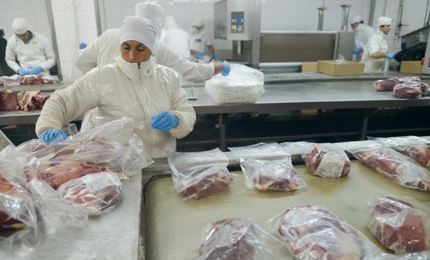 Crecieron las exportaciones de carne vacuna, pero los precios hicieron que la facturación sea menor