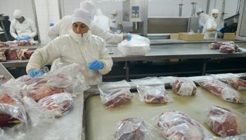 Estados Unidos, China y Europa ponen en jaque la ventaja histórica de la carne argentina