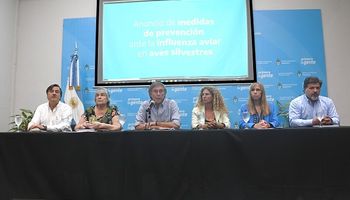 Gripe aviar: el Gobierno señaló que el consumo de pollo o derivados no contagia