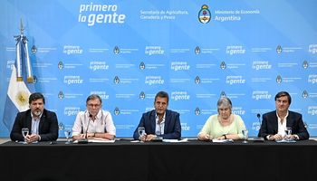 Gripe aviar: el Gobierno extrema el control sanitario y anunció un programa de prevención tras nuevos casos 