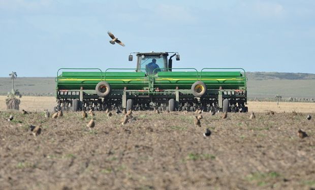 Santa Fe: las lluvias permitieron que comience la siembra de maíz temprano a ritmo sostenido