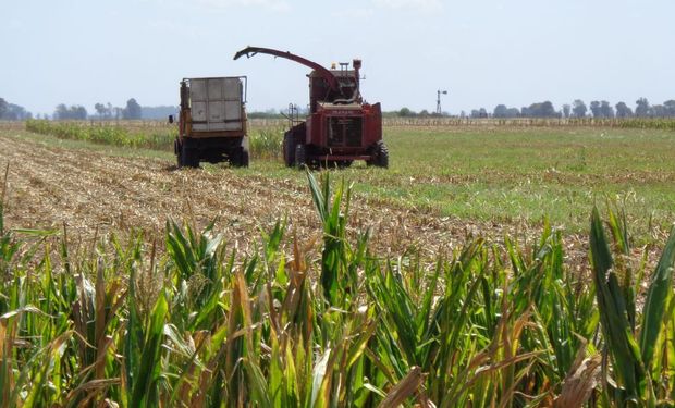 En unidades, la venta de maquinaria agrícola pasó de 16.724 a 21.807 durante los primeros 9 meses de 2019.