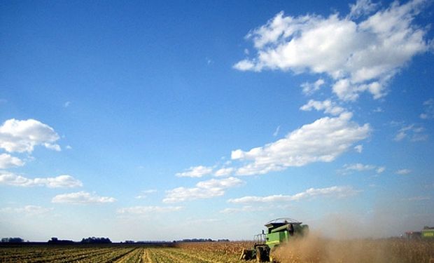 Los alquileres de campos caen un 40% por la baja en los precios