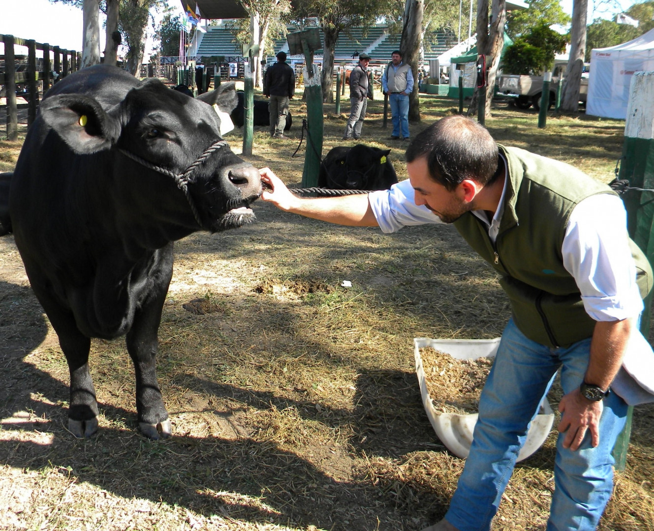 noticiaspuertosantacruz.com.ar - Imagen extraida de: https://news.agrofy.com.ar/noticia/210303/senasa-llamo-productores-declarar-novedades-sanitarias