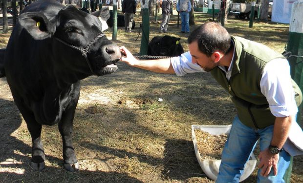 Senasa llamó a los productores a declarar las novedades sanitarias