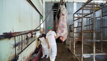Faena sin piso mínimo y con más libertad para el productor