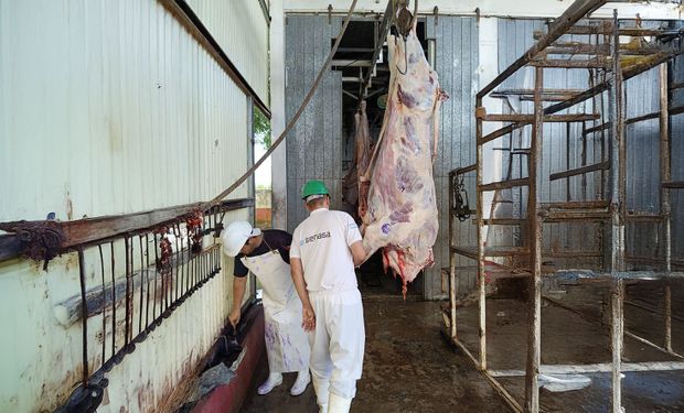 Faena sin piso mínimo y con más libertad para el productor