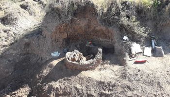 Un productor de Entre Ríos encontró restos fósiles de un gigantesco gliptodonte