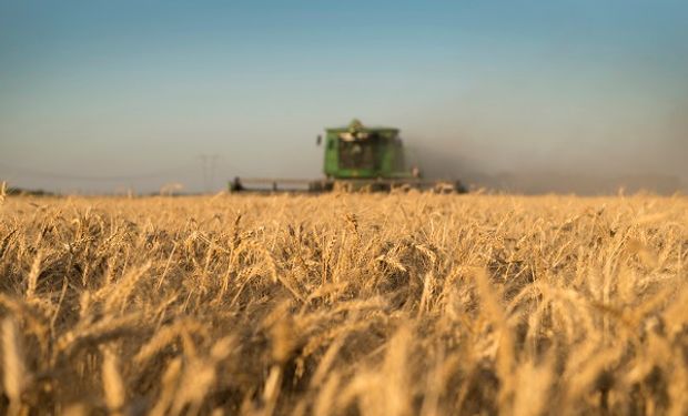 Argentina exportará por primera vez trigo a China 